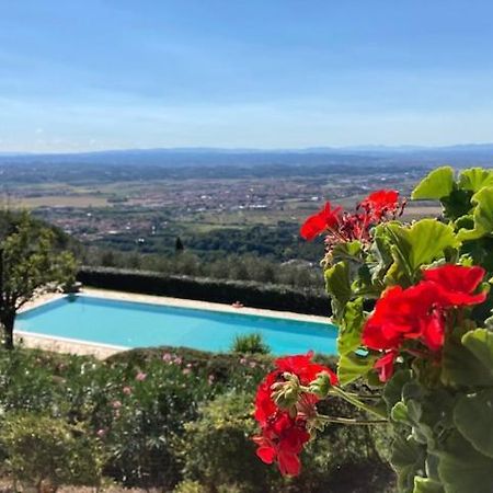 Agriturismo Cima Alla Serra Buti エクステリア 写真