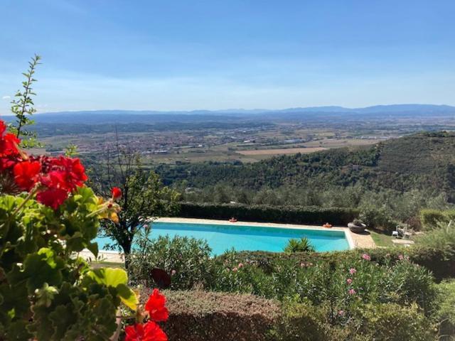 Agriturismo Cima Alla Serra Buti エクステリア 写真