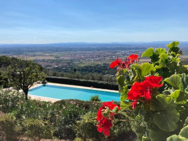 Agriturismo Cima Alla Serra Buti エクステリア 写真