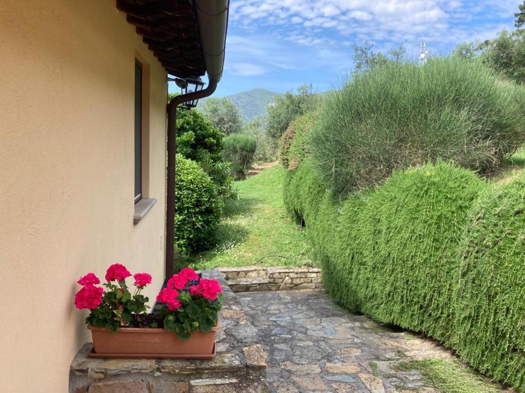 Agriturismo Cima Alla Serra Buti エクステリア 写真