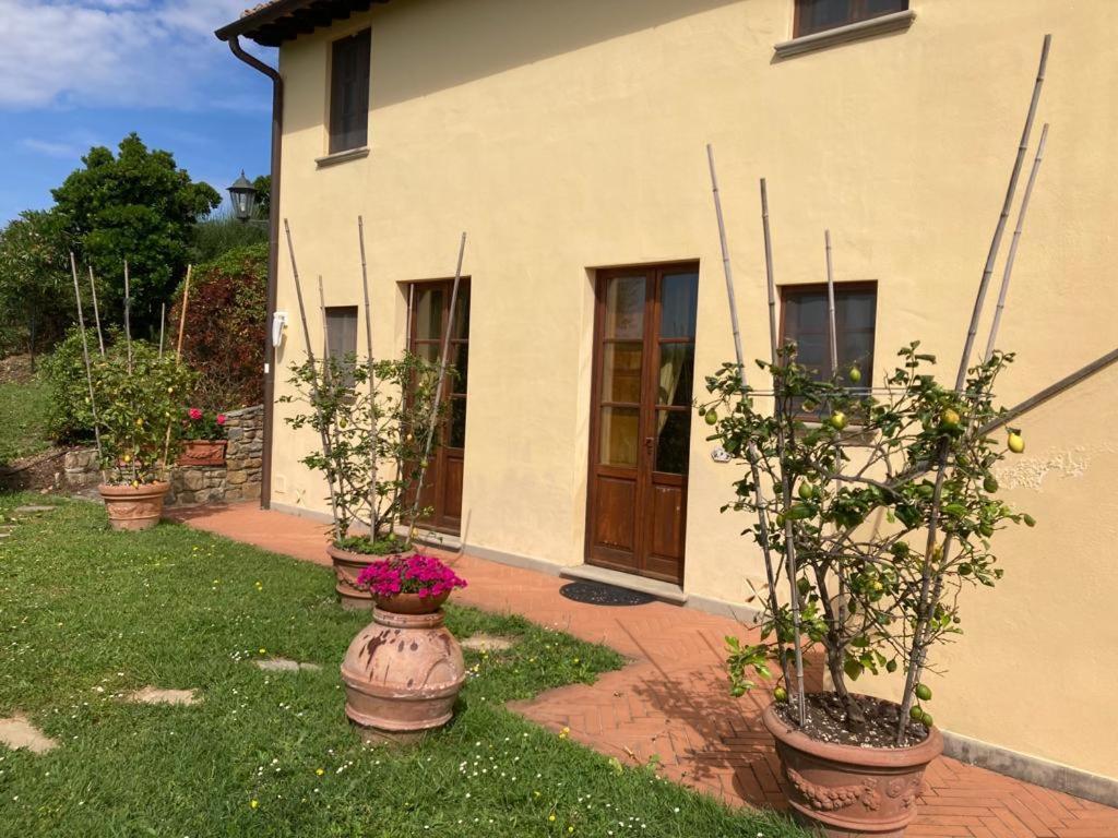 Agriturismo Cima Alla Serra Buti エクステリア 写真