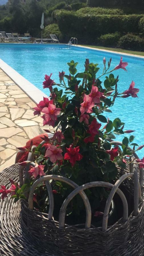 Agriturismo Cima Alla Serra Buti エクステリア 写真